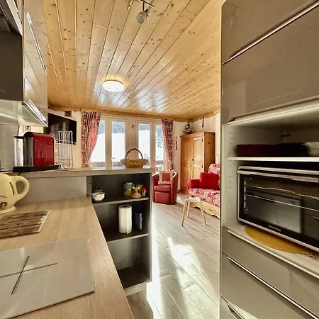 Apartment Renove, 4 Couchages, Proche Pistes Et Commerces - Fr-1-330f-231 *